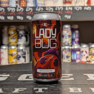 Fermi Cervejas - Ladybug